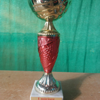 Puchar za I miejsce