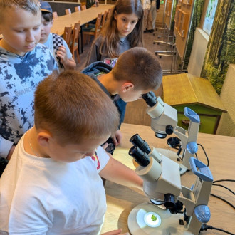 Uczniowie klas IVa i VIb na zielonej szkole w Domu Wczasów Dziecięcych w Rymanowie-Zdroju