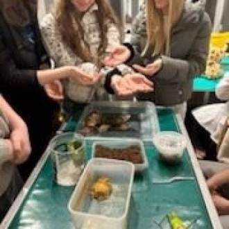 Uczniowie klasy 8 w pracowni, na dziale weterynarii